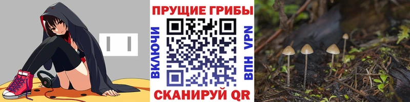 Псилоцибиновые грибы ЛСД  что такое   Пенза 
